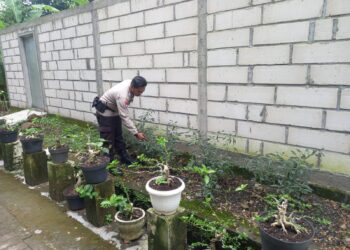 Polsek Krembung Wujudkan P2B Ketahanan Pangan di Desa Lemujut