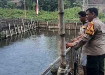 Polsek Tanggulangin Masifkan Ketahanan Pangan Melalui Patroli Sambang Desa