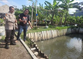 Budidaya Ikan Nila di Desa Tebel Gedangan, Cocok untuk Program Ketahanan Pangan