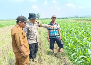 Polsek Balongbendo Sambangi Pekarangan Produktif, Dukung Han Pangan Bergizi