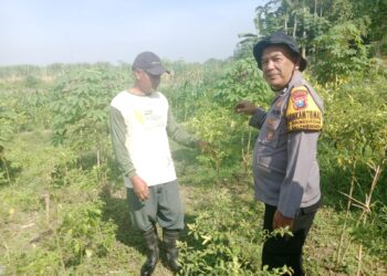 Polsek Balongbendo dan Warga Kelola Pekarangan Tidur untuk Ketahanan Pangan