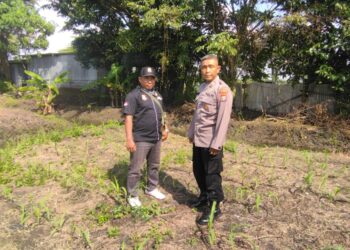 Bhabinkamtibmas Cek Ketahanan Pangan Tanaman Jagung di Plumbungan