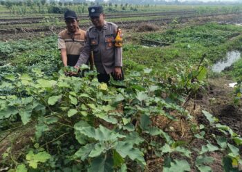 Kapolsek Taman Dorong Bhabinkamtibmas Aktif Dukung Ketahanan Pangan