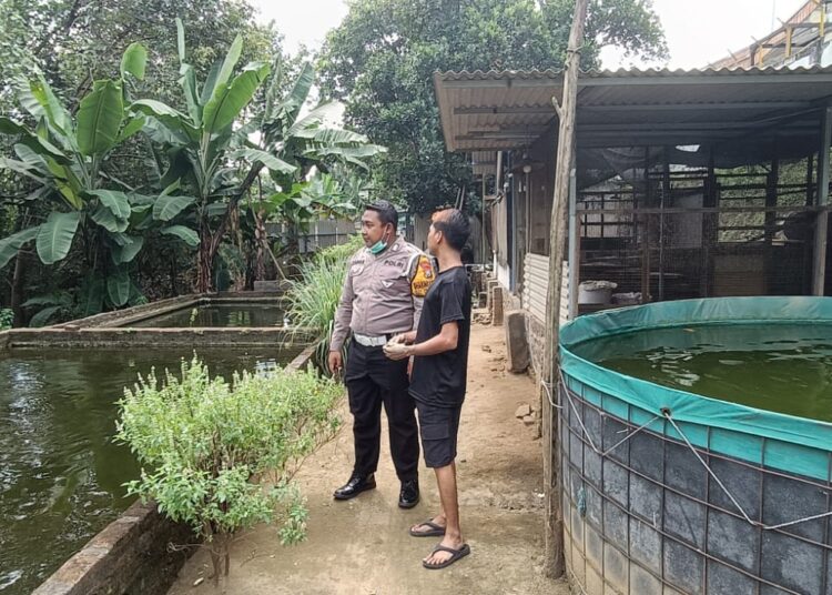 Kapolsek Tarik Apresiasi Budidaya Lele Warga Desa Kramat Temenggung