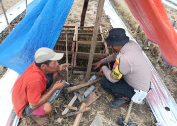 Polsek Balongbendo Kelola Ketahanan Pangan, Melalui Pendampingan Aktif Bhabinkamtibmas