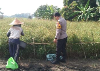 Polsek Sidoarjo Kota Masifkan Pengecekan Lahan P2B di Desa Sidokumpul 