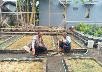 Pantau Lahan Sayuran, Polsek Tulangan Dukung Ketahanan Pangan Warga