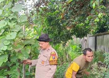 Semangat Ketahanan Pangan, Pekarangan Tidur di Desa Bakalan Wringinpitu Kini Produktif