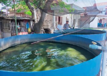 Polsek Sukodono Pantau Budidaya Lele di Masangan Kulon, Optimalkan Ketahanan Pangan Warga