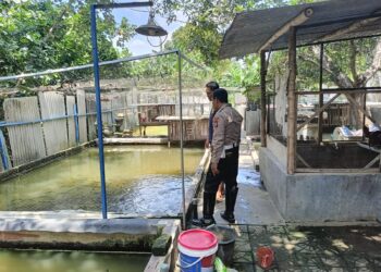 Kapolsek Tarik Dorong Bhabinkamtibmas Aktif Kawal Ketahanan Pangan Lewat Budidaya Lele di Pekarangan Rumah