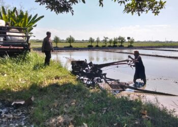 Polisi Cinta Petani, Kanit Binmas Polsek Prambon Dampingi Petani Bajak Sawah