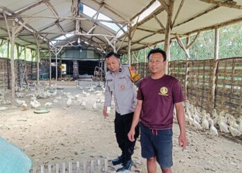 Bhabinkamtibmas Sambangi Desa Segodobancang, Dukung Ketahanan Pangan Peternakan Bebek