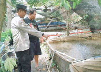 Ubah Lahan Kosong Untuk Budidaya Lele, Bhabinkamtibmas Polsek Taman Motivasi Ketahanan Pangan
