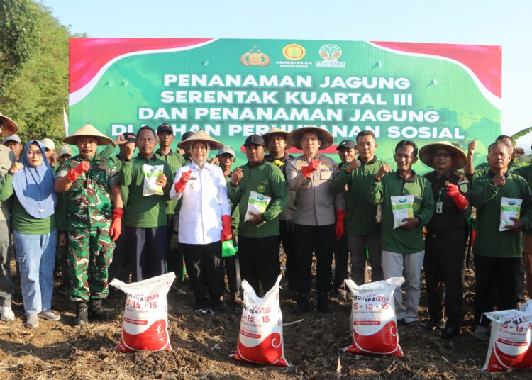 Pemkab Bojonegoro Ikut Sukseskan Penanaman Jagung Serentak Kuartal III