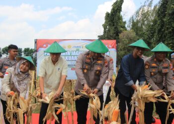 Polres Tuban Panen Jagung Kuartal III di Semanding