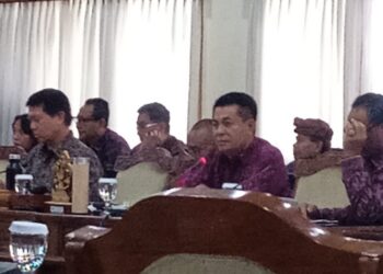 Deteksi Ketinggian Air, DPRD dan Pemprov Bali Akan Pasang Alarm di Sungai