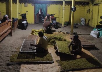 Belasan Ribu Buruh Pabrik Rokok dan Tani Tembakau di Bojonegoro Terima BLT DBHCHT