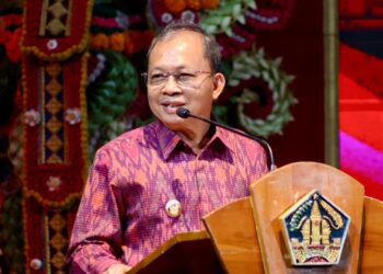 Soal Pembangunan Lif di Nusa Penida, Gubernur Koster Tugaskan Pansus TRAP DPRD Bali Cek Lapangan