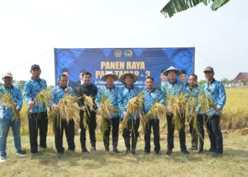 Lapas Lamongan Panen Raya Padi Tahap 3 di Area SAE
