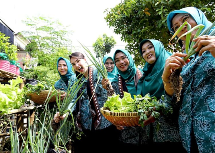 Arumi Bachsin dan Cantika Wahono Bangga, Kader PKK Olah Lahan Sempit Jadi Produktif