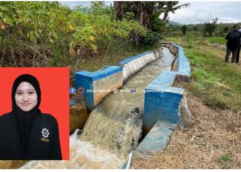 Investasi Rp 5 Miliar untuk Masa Depan Pangan Ngawi