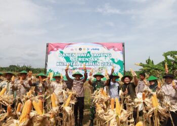 Polres Tuban Panen Raya Jagung Kuartal IV di Tegalagung Semanding