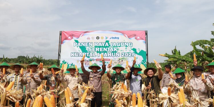 Polres Tuban Panen Raya Jagung Kuartal IV di Tegalagung Semanding