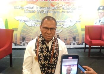 Wagub NTT Temui Warga Diaspora di Bali, Ini Pesannya