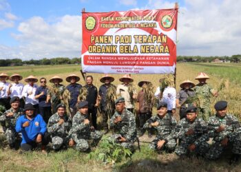 FKBN Panen Raya Padi Terapan Organik di Bulakrejo Sukoharjo