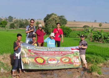 Terapan Organik Bela Negara FKBN: PH Tanah Normal, Hasil Melimpah Bebas Hama