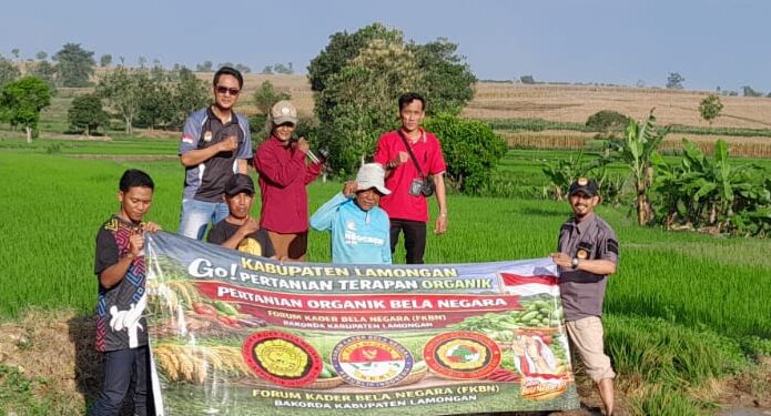 Terapan Organik Bela Negara FKBN: PH Tanah Normal, Hasil Melimpah Bebas Hama