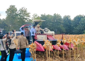 Panen Raya di Tuban, Presiden Prabowo Apresiasi Peran Polri Wujudkan Ketahanan Pangan Nasional