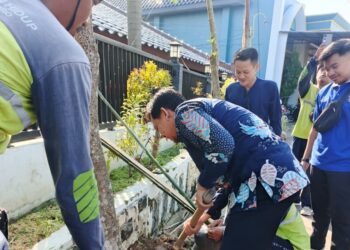 Dinsos Bojonegoro Berbagi 20 Pohon Pule untuk Penghijauan Makam Kanjeng Soemantri