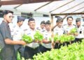 Lapas Lamongan Suplai Selada Hidroponik ke SPPG Keduyung, Dukung Program MBG