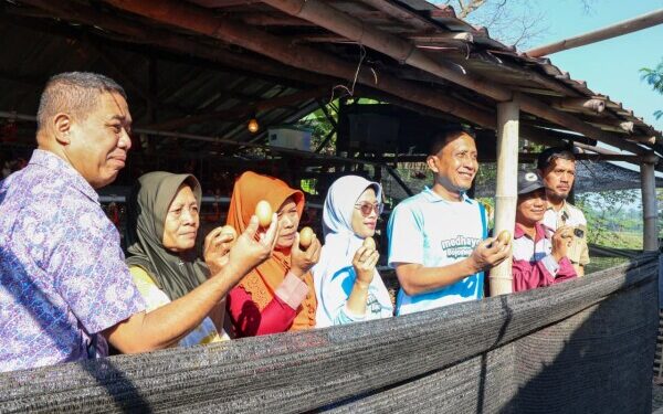Medhayoh, Bupati Wahono Sapa Petani Ngraho dan Tinjau Program Gayatri