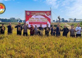 Terapan Organik Bela Negara Buktikan Keunggulan, Hasil Panen Tembus 7,5 Ton per Hektare