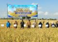 Koramil Karanggeneng Dukung Kemandirian Pangan Lewat Panen Raya Padi