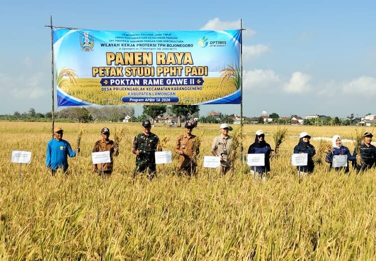 Koramil Karanggeneng Dukung Kemandirian Pangan Lewat Panen Raya Padi