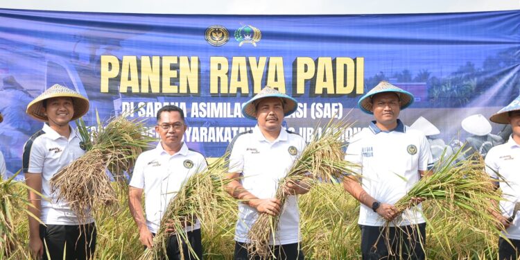Panen Raya Padi SAE Lapas Lamongan Dorong Kemandirian Pangan