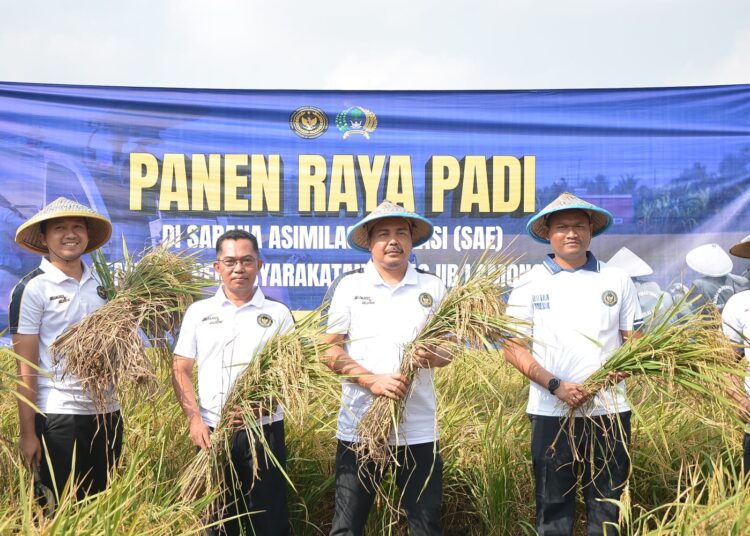 Panen Raya Padi SAE Lapas Lamongan Dorong Kemandirian Pangan