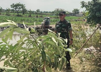 Babinsa 0812/02 Deket Kawal Normalisasi Sungai Sidomulyo dari Enceng Gondok