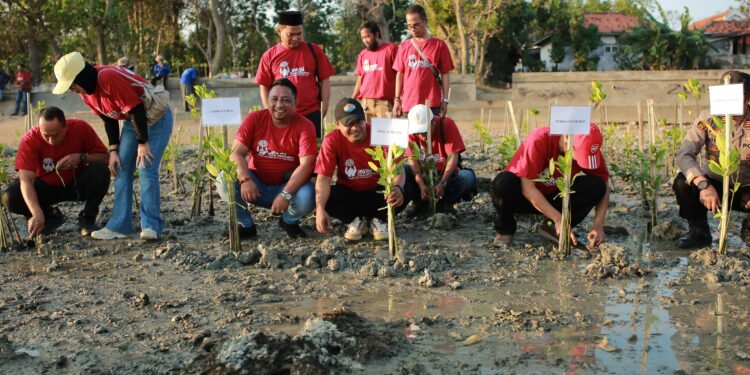 Pers Peduli Lingkungan, JMSI Sumenep Hijaukan Pesisir Pantai Matahari