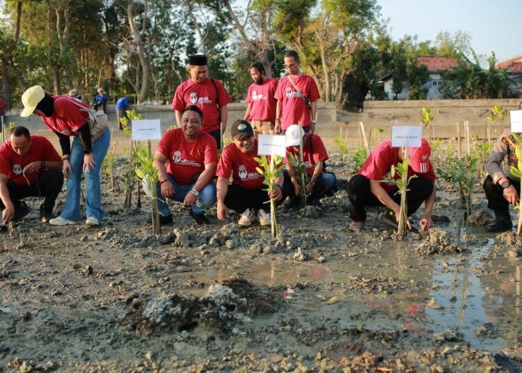 Pers Peduli Lingkungan, JMSI Sumenep Hijaukan Pesisir Pantai Matahari