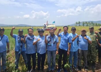 Petani Muda Jagatara Panen Raya di Padarincang Banten, Perkuat Ketahanan Pangan